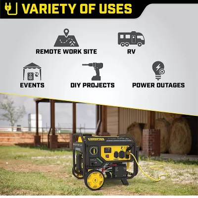 Champion Power Equipment 201052 4750/3800-Watt Dual Fuel Portable